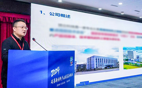 頂立科技參加硅基新材料高峰論壇，分享高純石英制備熱工裝備最新技術(shù)
